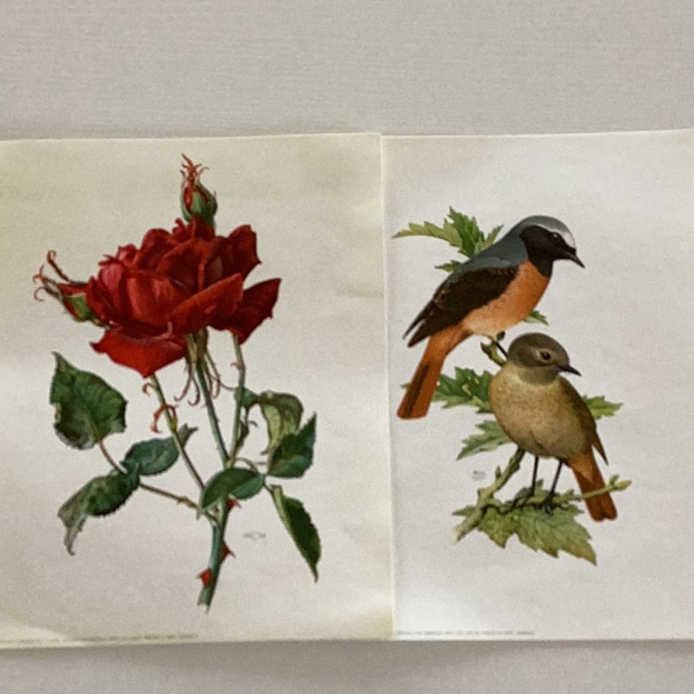 Vintage Decoupage Prints